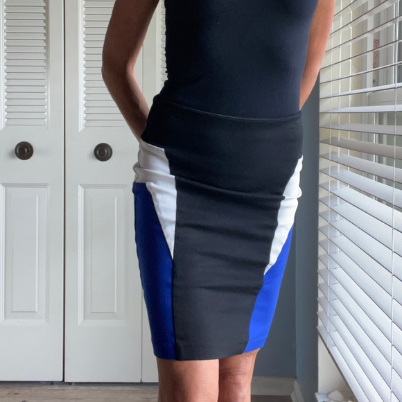 Pencil Skirt, Bold Shape Enhancing Color Blocking - Picture 2 of 9